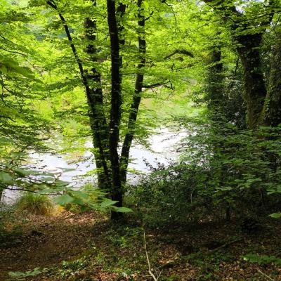 Img 20250510 085855