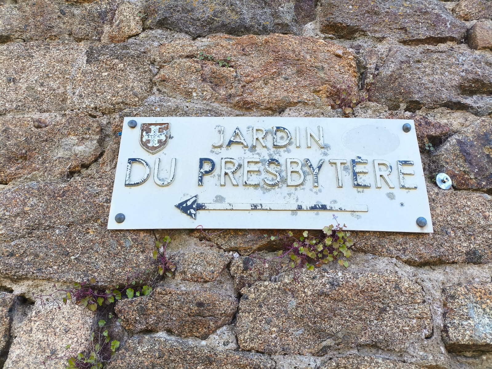 Img 20250519 140004