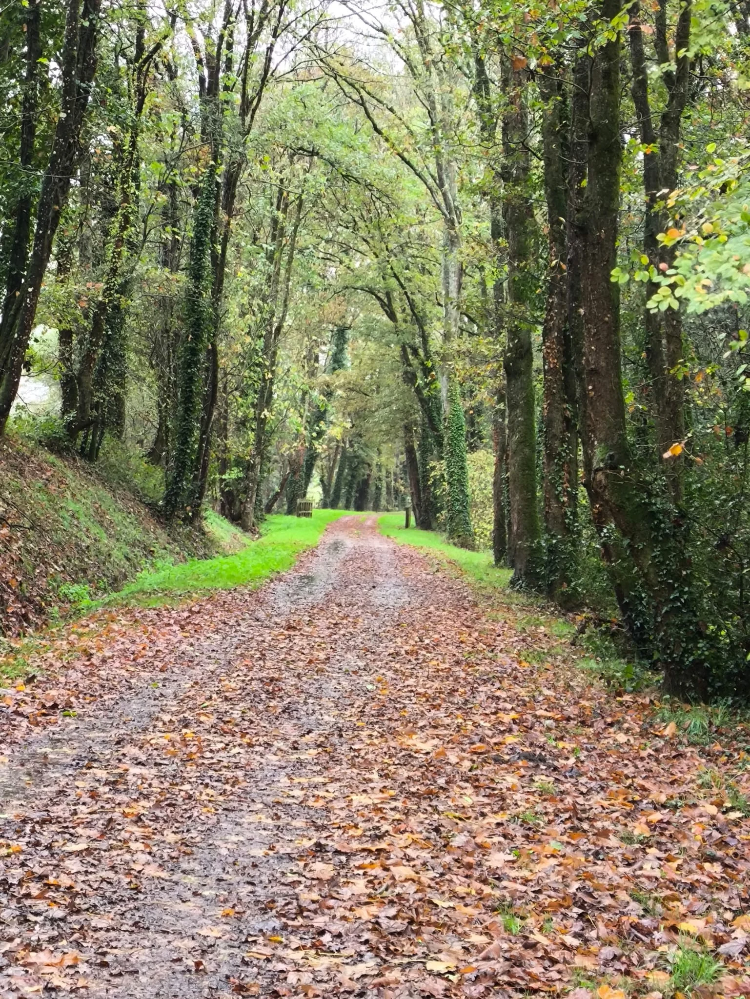 0aac8a9a 65e1 44bf 83e4 b5de06f997e3