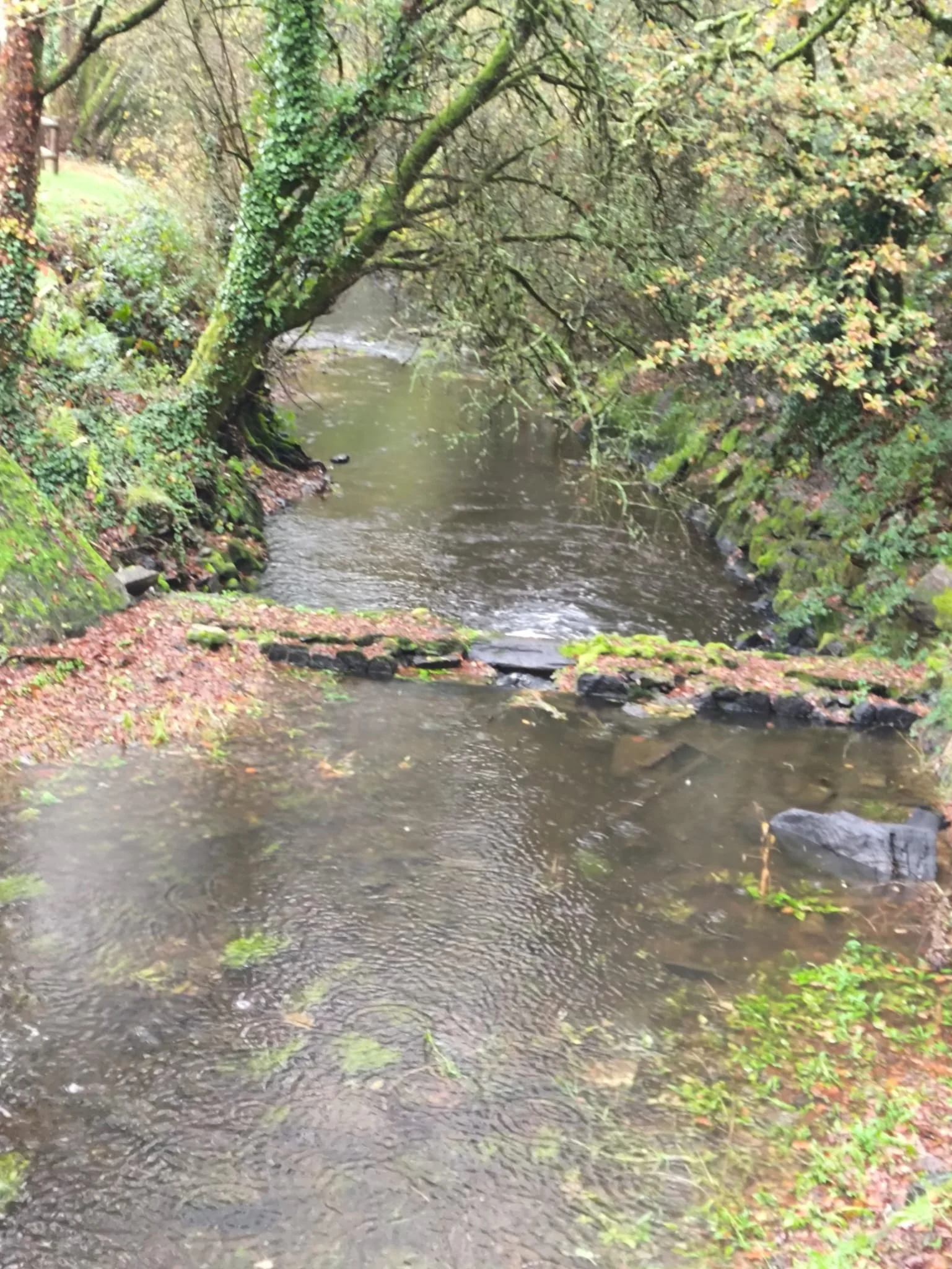 11f65c8f 1047 4a3f b42e 329d03e7b12a