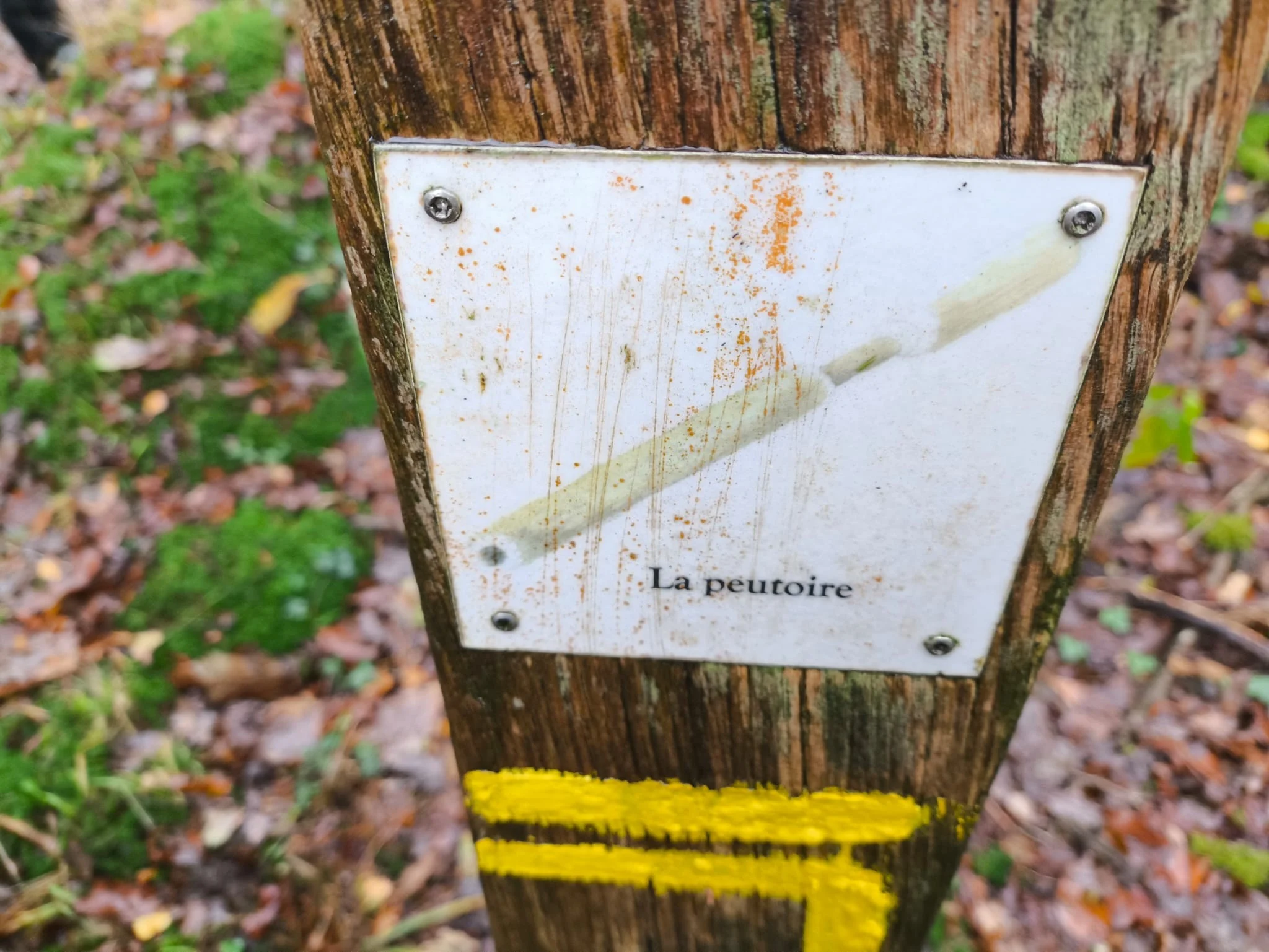 22004cd1 6057 478d 856b 4c9cf6447694