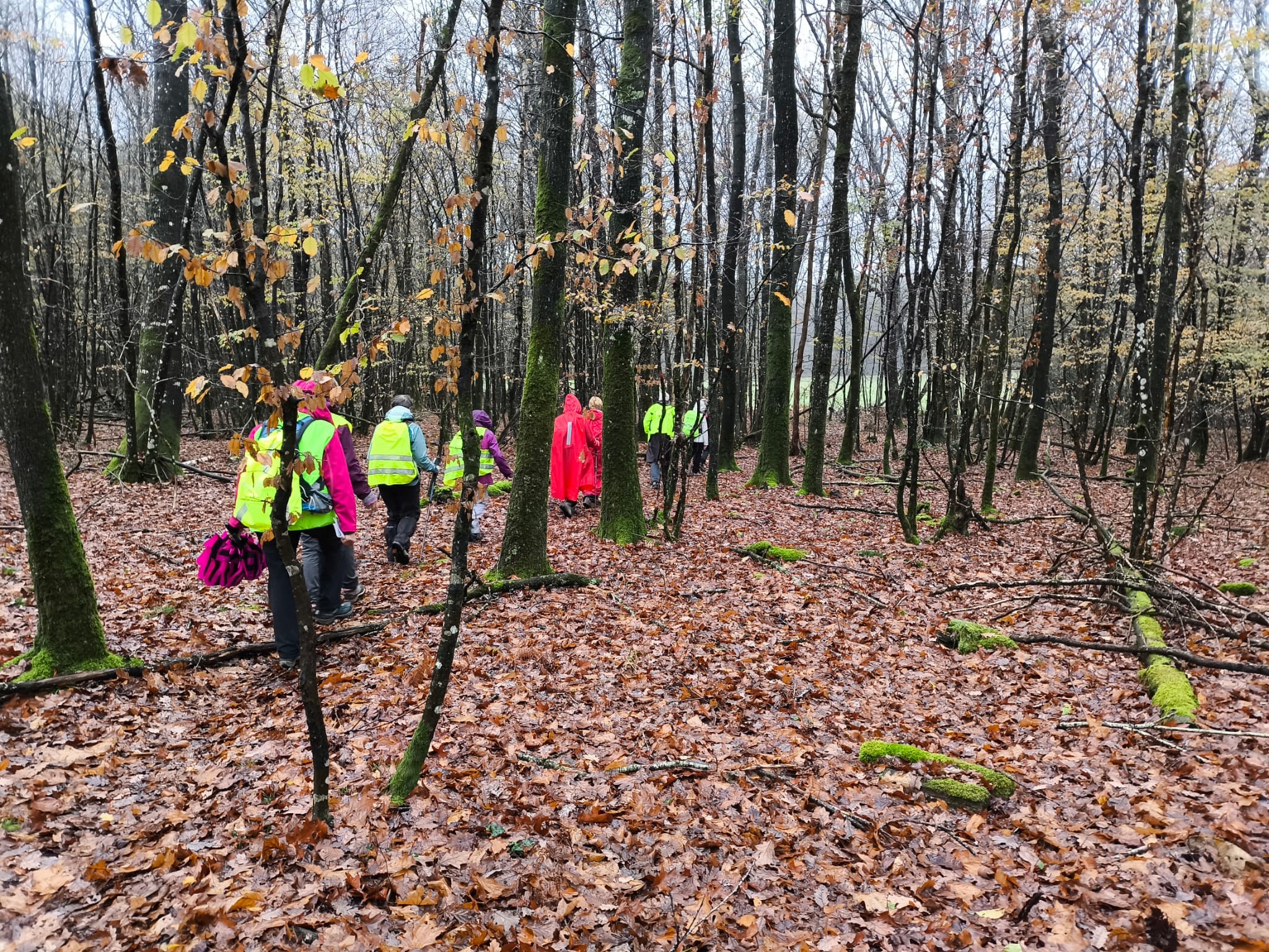 58e8fa60 1721 49d2 b015 995a7dae2051 1 