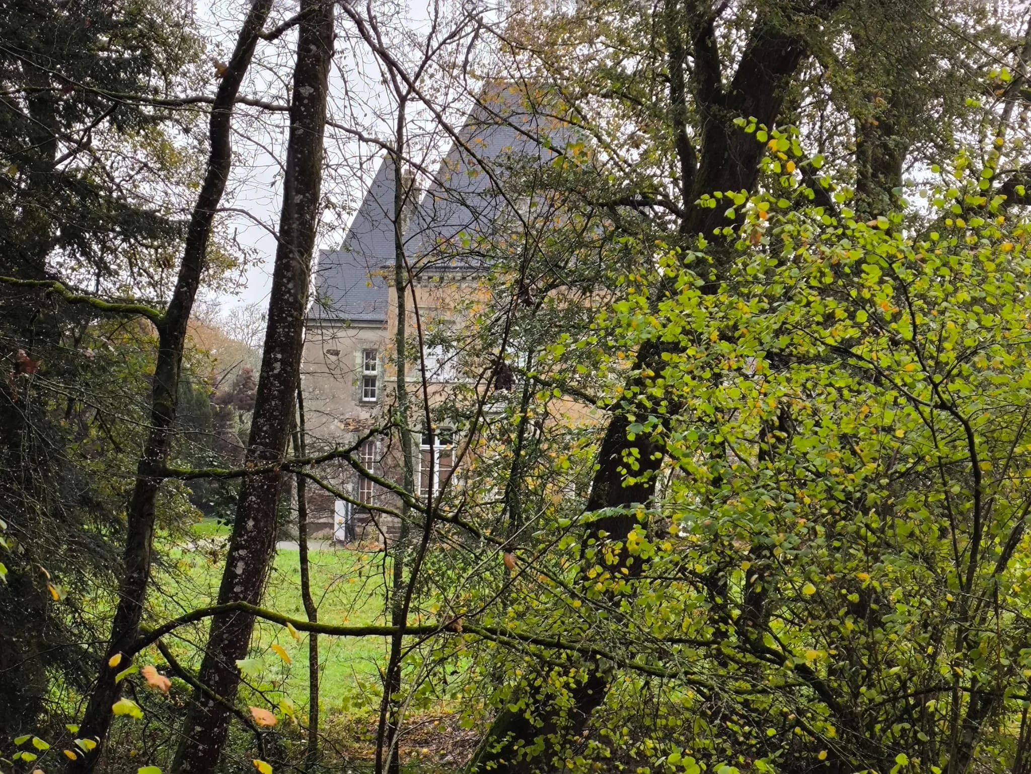 7ec1d83a 4cf8 4050 bb0c 7697195bbf71