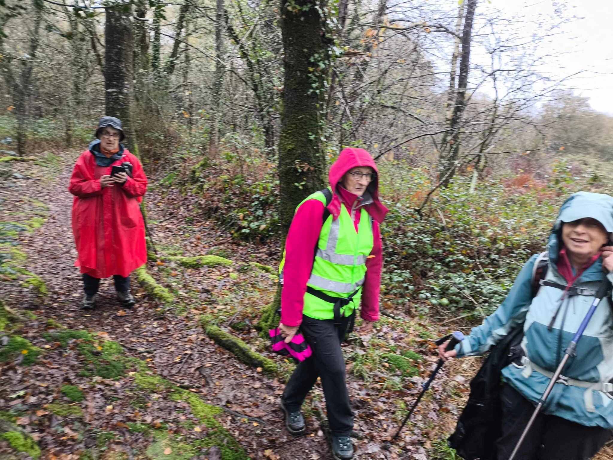 8c5ee408 0156 45d1 b930 f69796fbb1d9