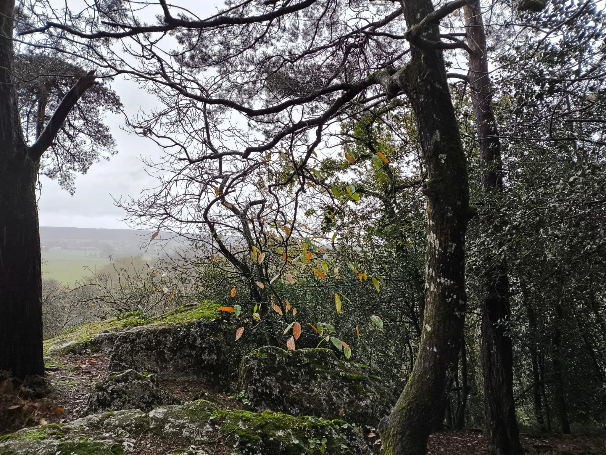 A38c70f3 dbc4 41c3 90e3 6d15c275947f