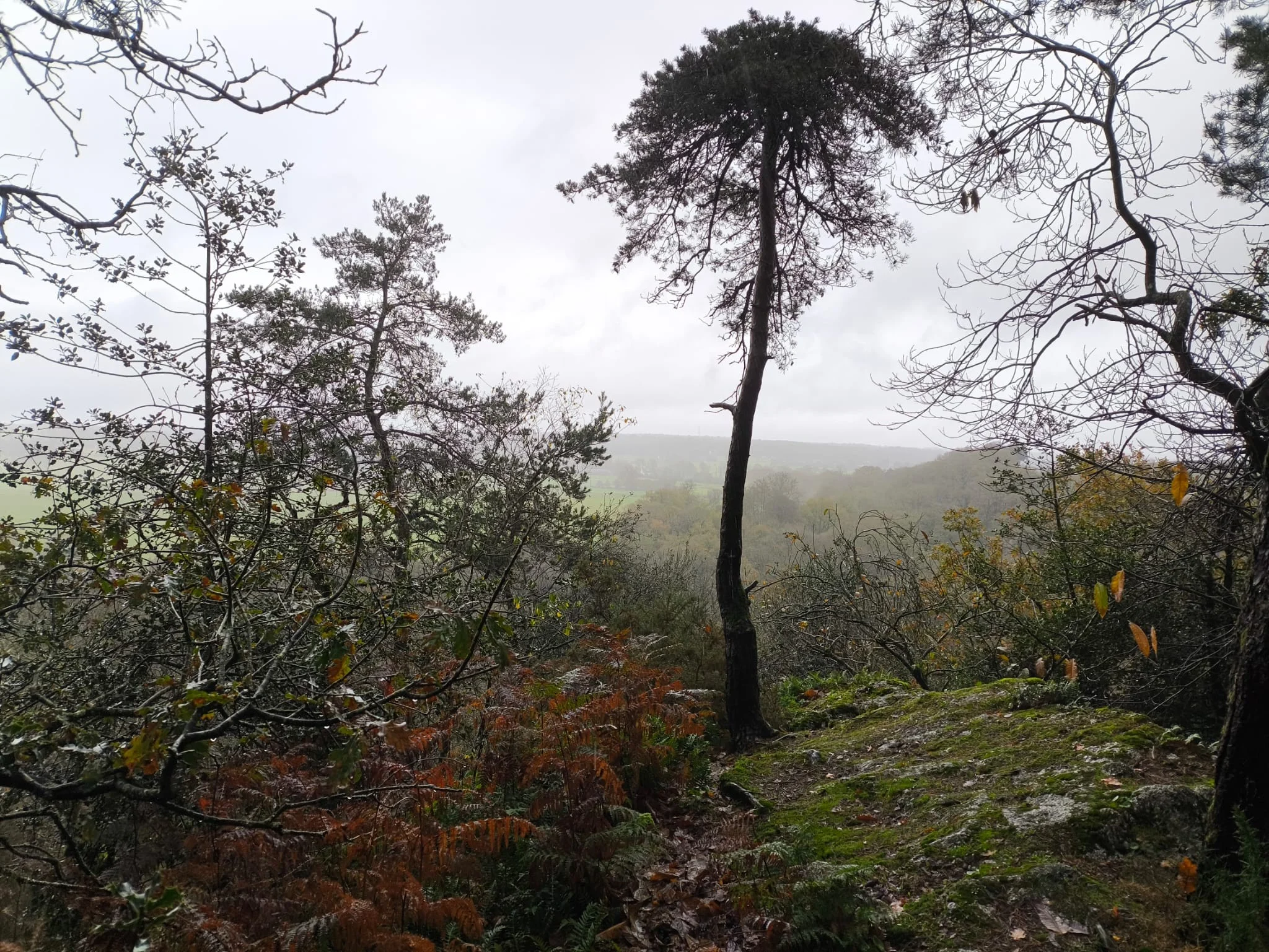 A39378cc 69c0 4cf5 ba2a a3d8351e9621