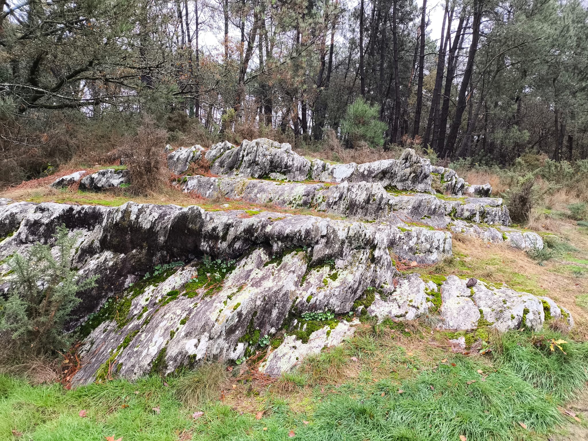 A99bc271 26d2 4ca2 8bda 0cb6191d6fc2