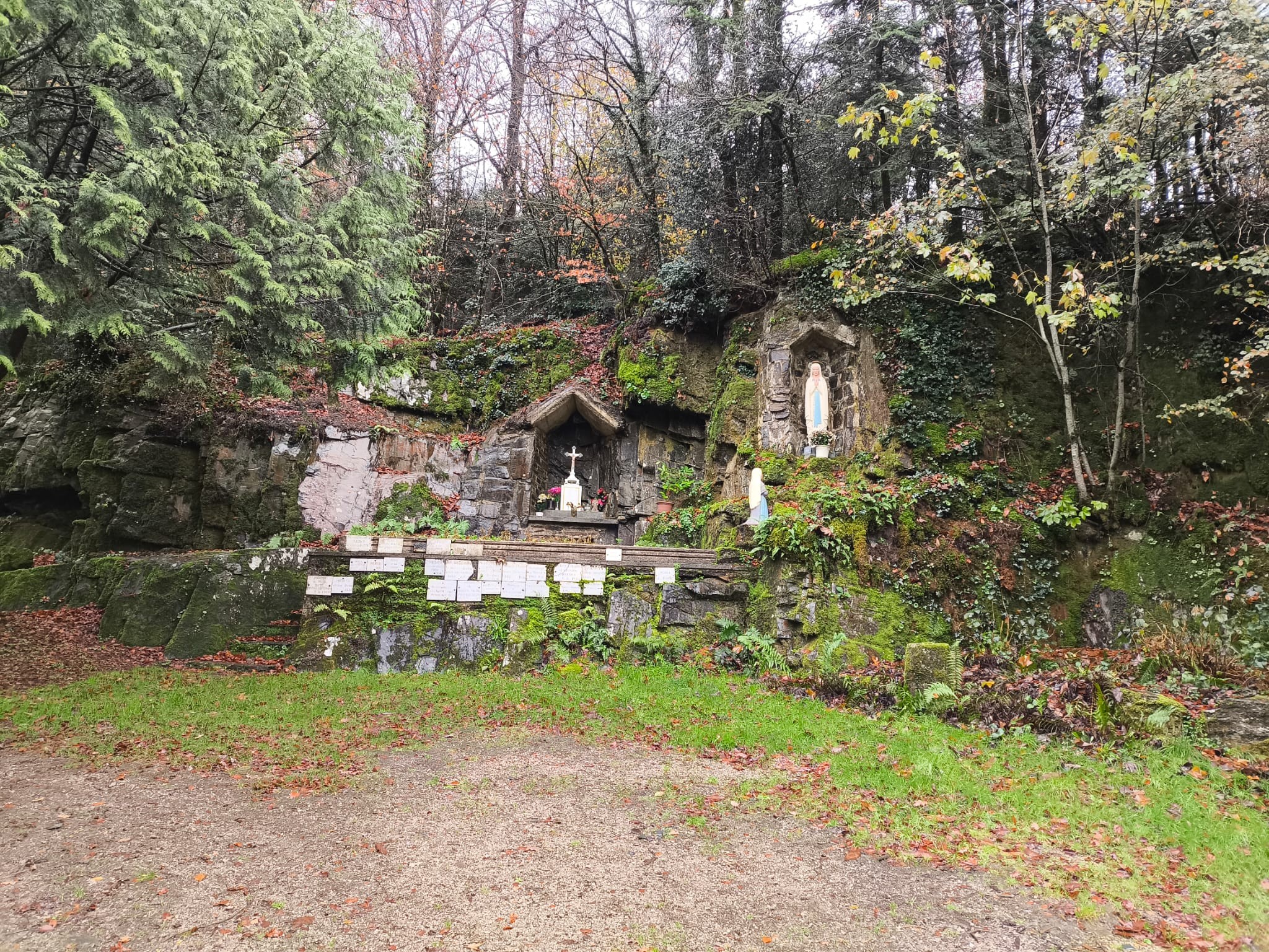 Bf535854 af8b 4ac7 90b1 a55d2805f0c1