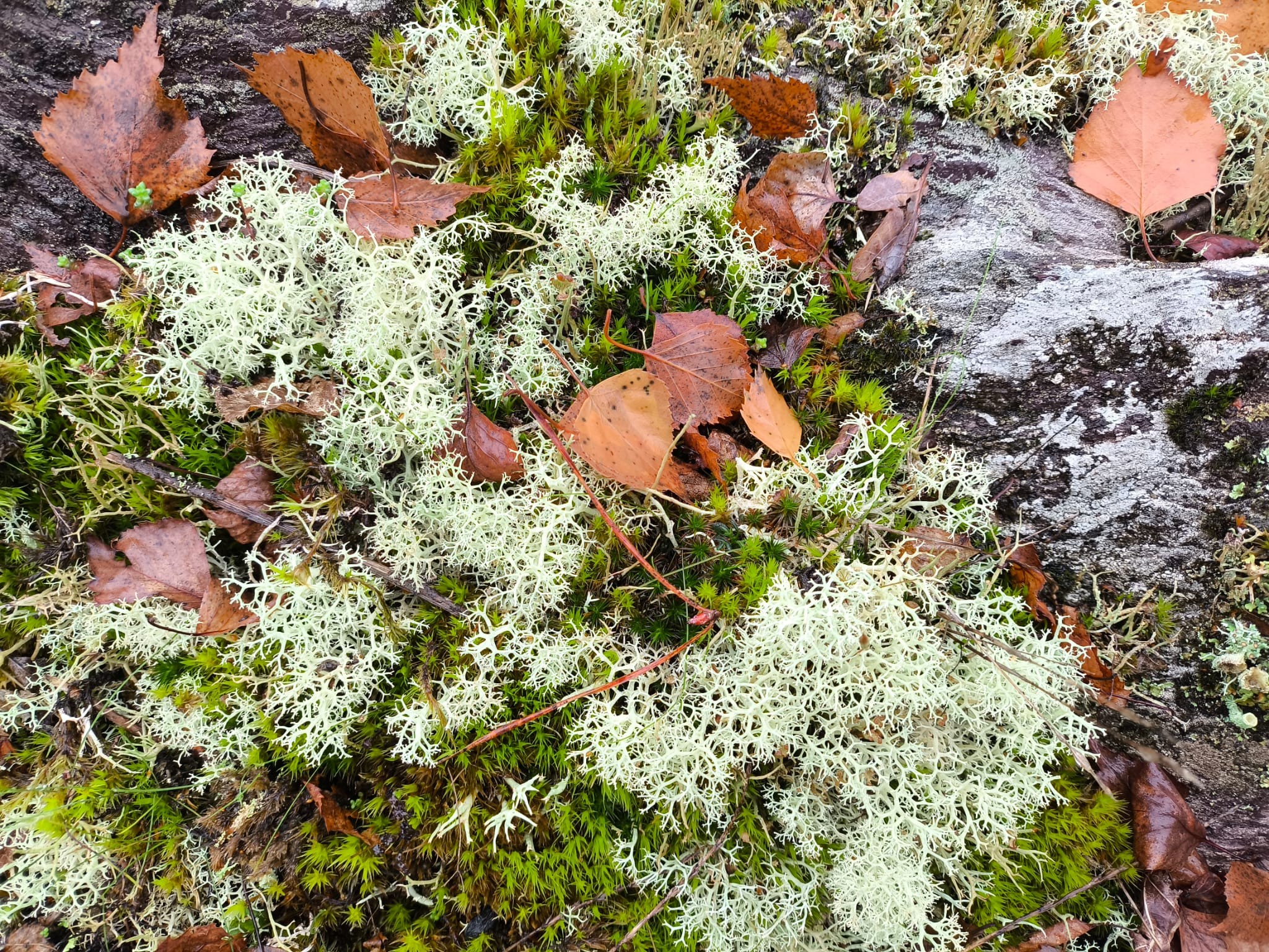 D1501d3b a7d1 4943 978d a8dcf16b81d3