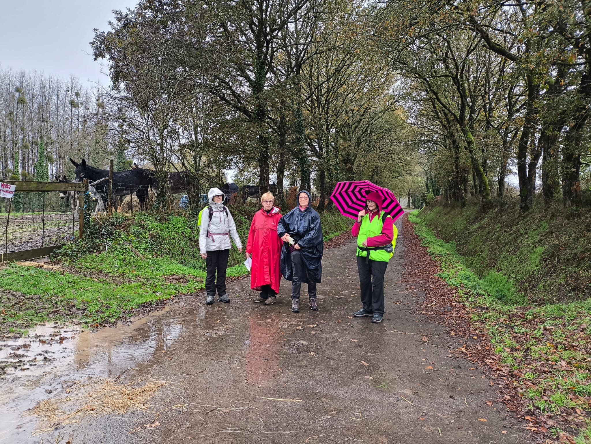 E23882db 0530 401c aca6 ae5a803c541c