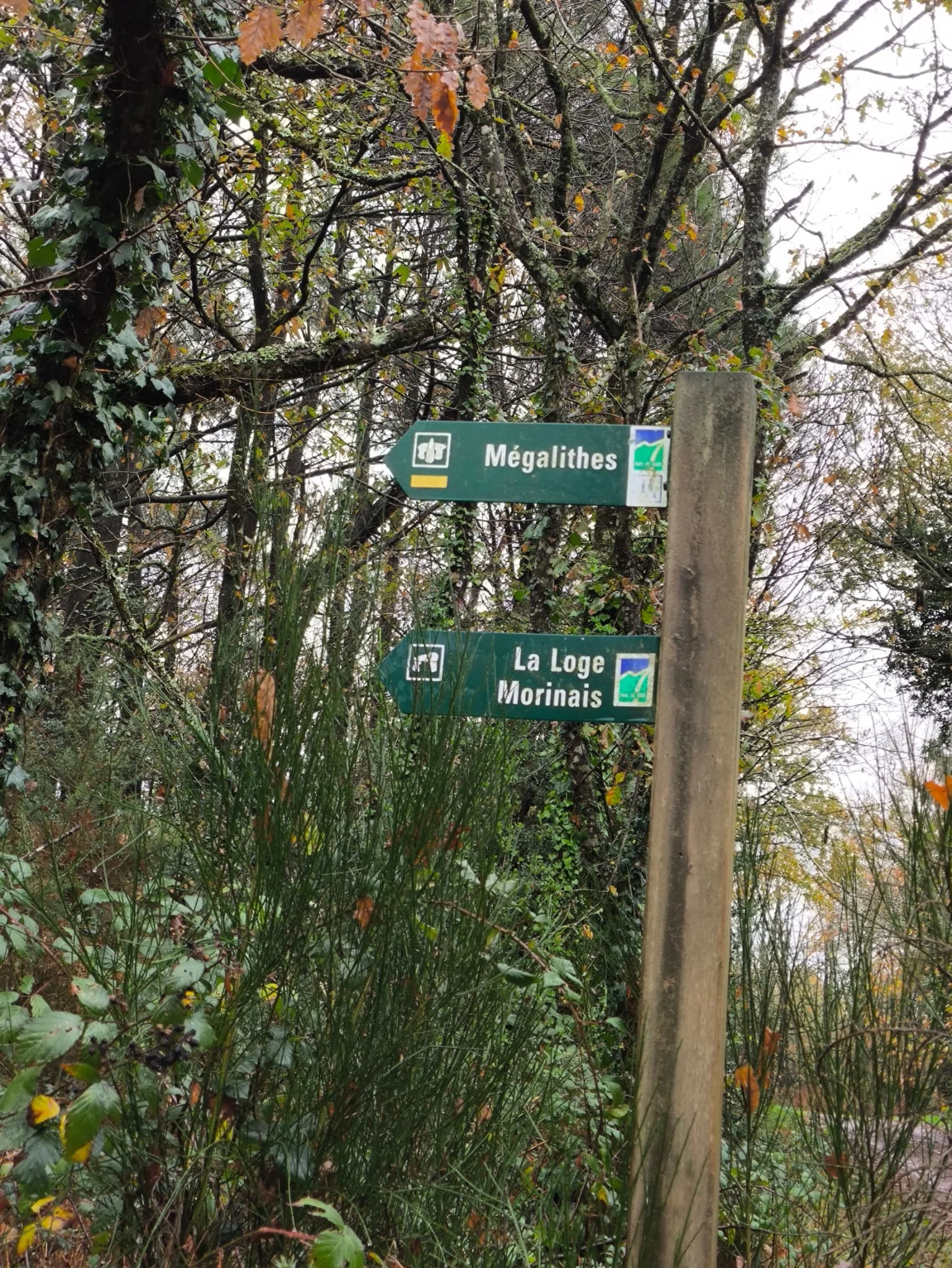 E66f0461 13c7 49a2 9595 3c176460f852