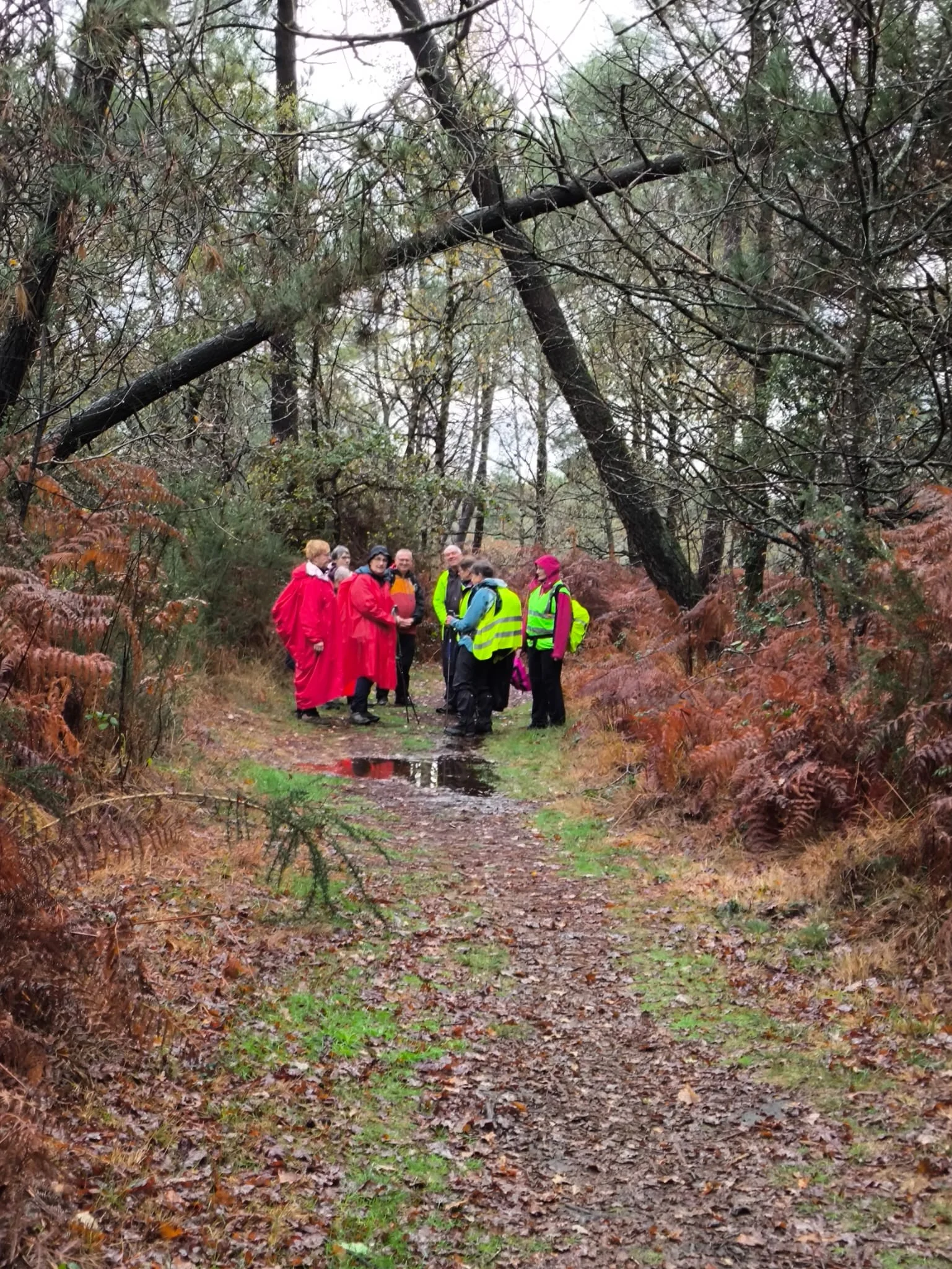 Ed877910 acab 4e6d bbde 40a98b43f5d0